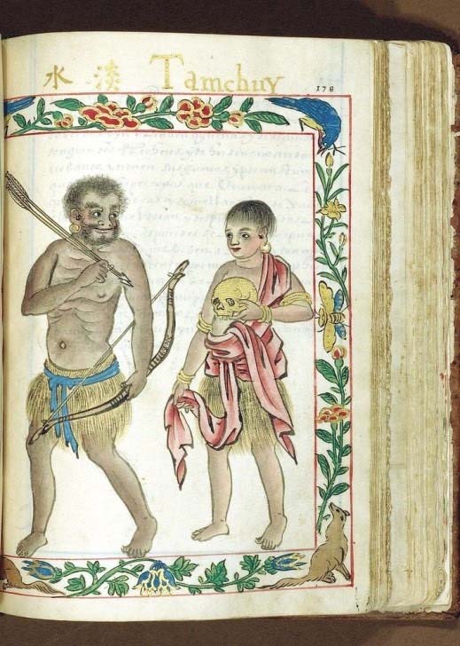 Boxers Codex Datu ¬™ \ÉbKb?z